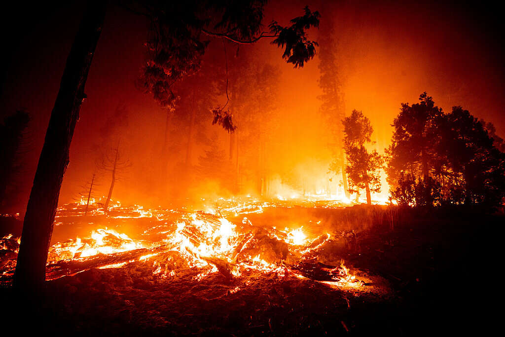 Wildfire burning in a forest at night with heavy smoke