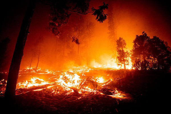 Wildfire burning in a forest at night with heavy smoke